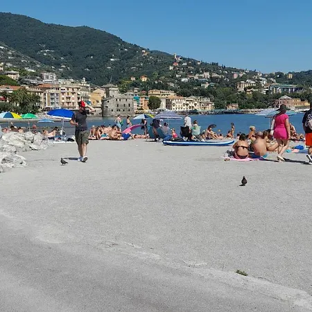 Sweet Lucy ראפאלו